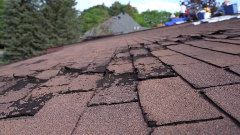Best Metal Roofing Installation  in Clayton, CA