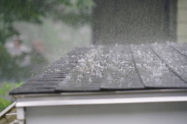 Best Gutter Replacement  in Clayton, CA