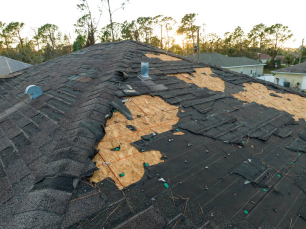 Roof Coating Services in Clayton, CA